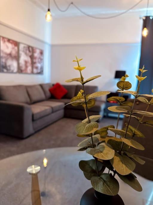The Retreat - Large Luxury Apartment, Two Mins From Beach 본머스 외부 사진